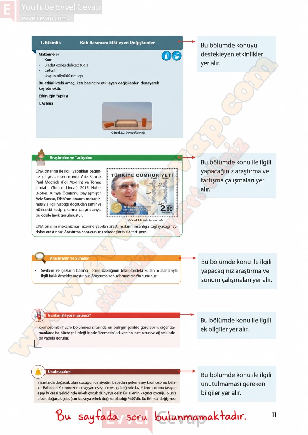 8-sinif-fen-bilimleri-ders-kitabi-sayfa-11-cevaplari-meb-yayinlari-2026-2027