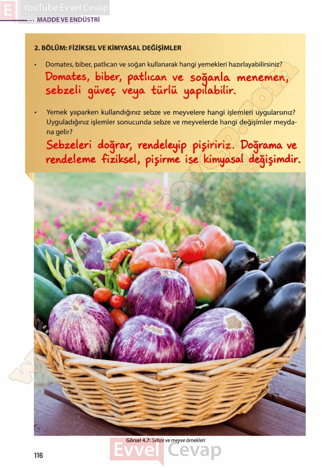 8-sinif-fen-bilimleri-ders-kitabi-sayfa-116-cevaplari-meb-yayinlari-2026-2027