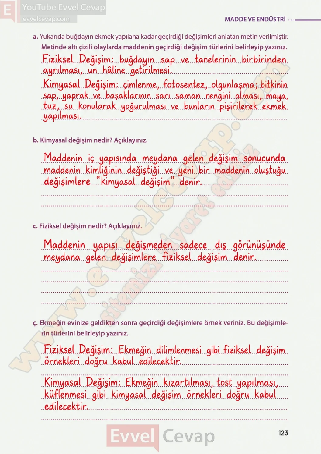 8-sinif-fen-bilimleri-ders-kitabi-sayfa-123-cevaplari-meb-yayinlari-2026-2027