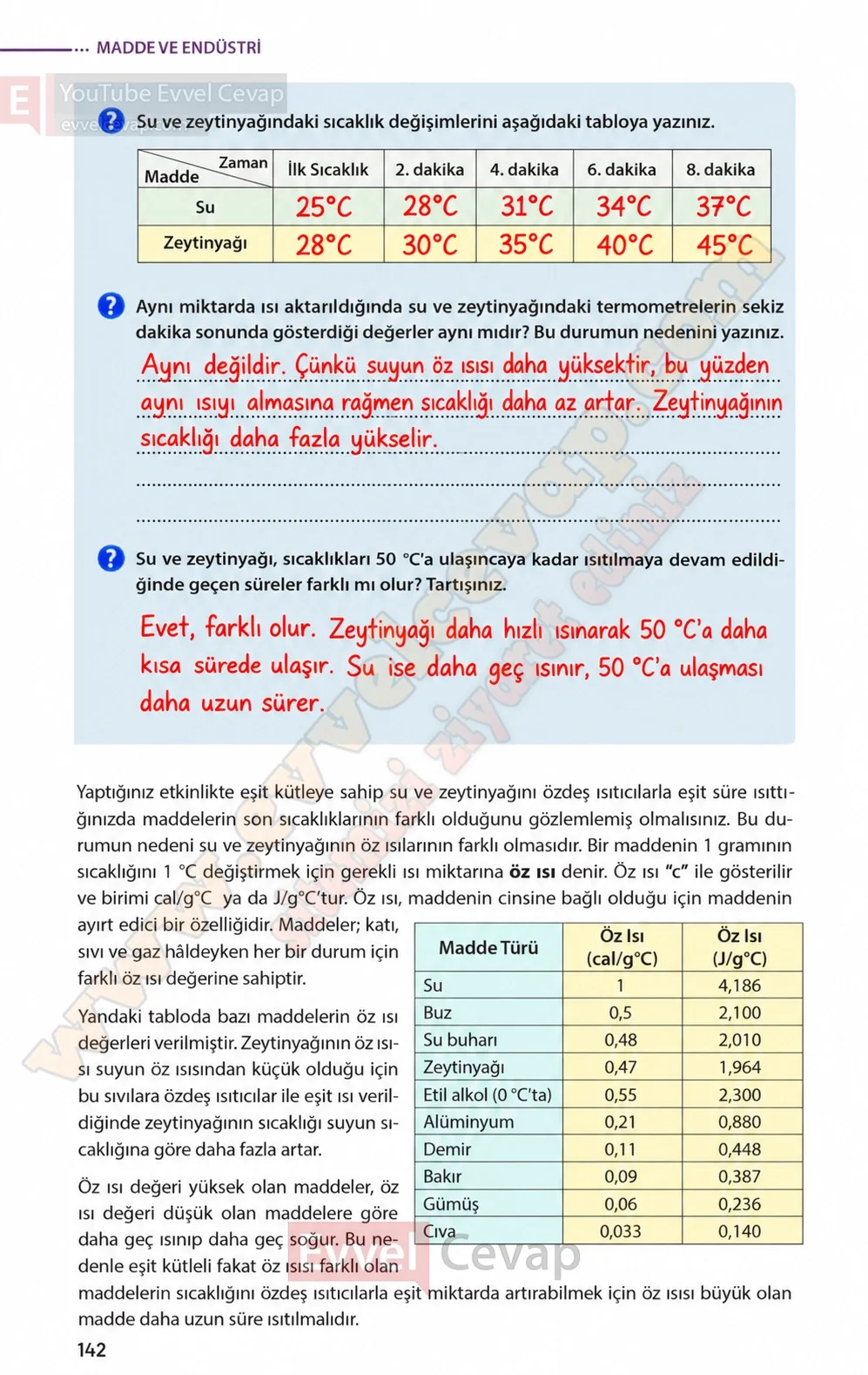 8-sinif-fen-bilimleri-ders-kitabi-sayfa-142-cevaplari-meb-yayinlari-2026-2027