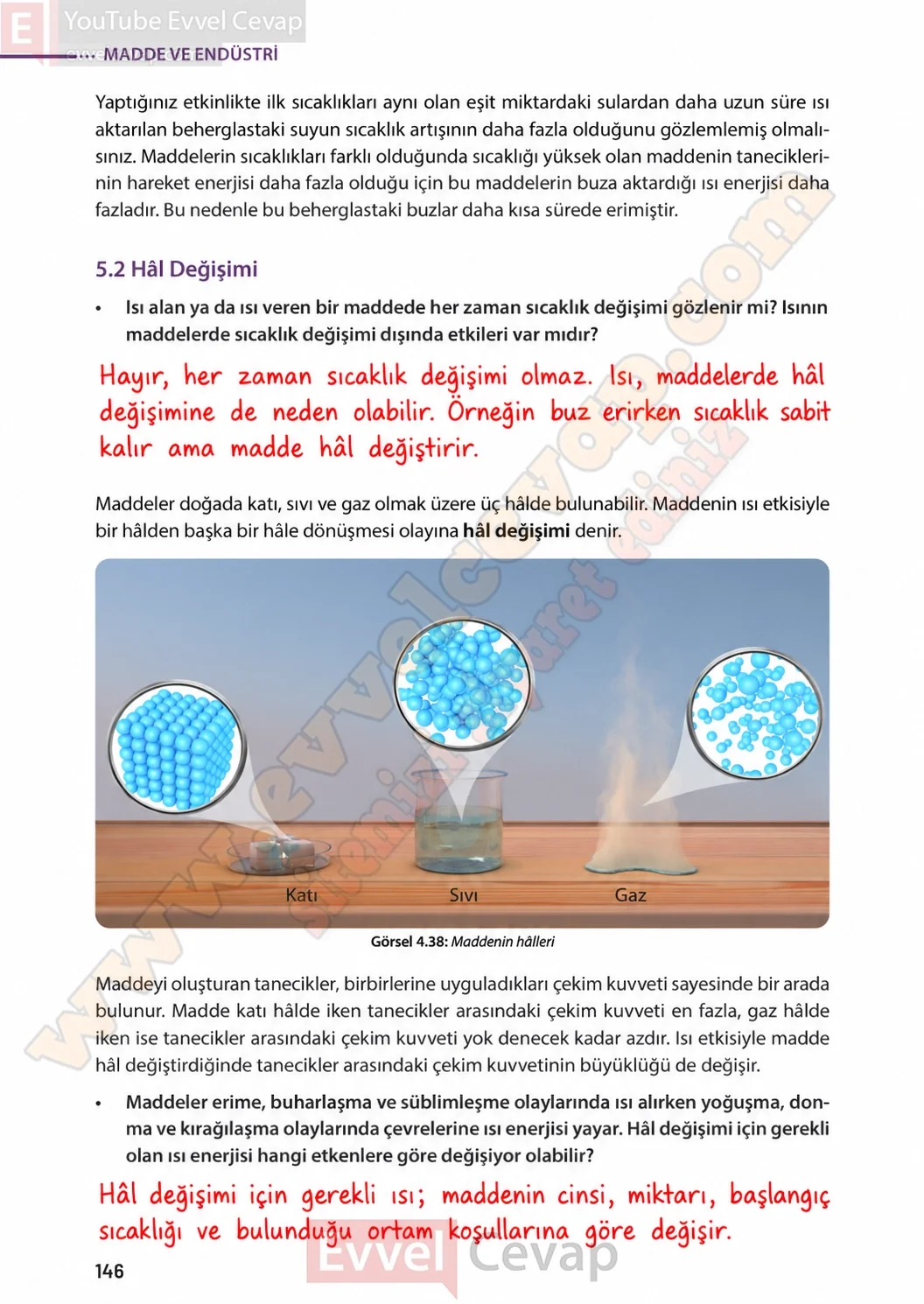 8-sinif-fen-bilimleri-ders-kitabi-sayfa-146-cevaplari-meb-yayinlari-2026-2027