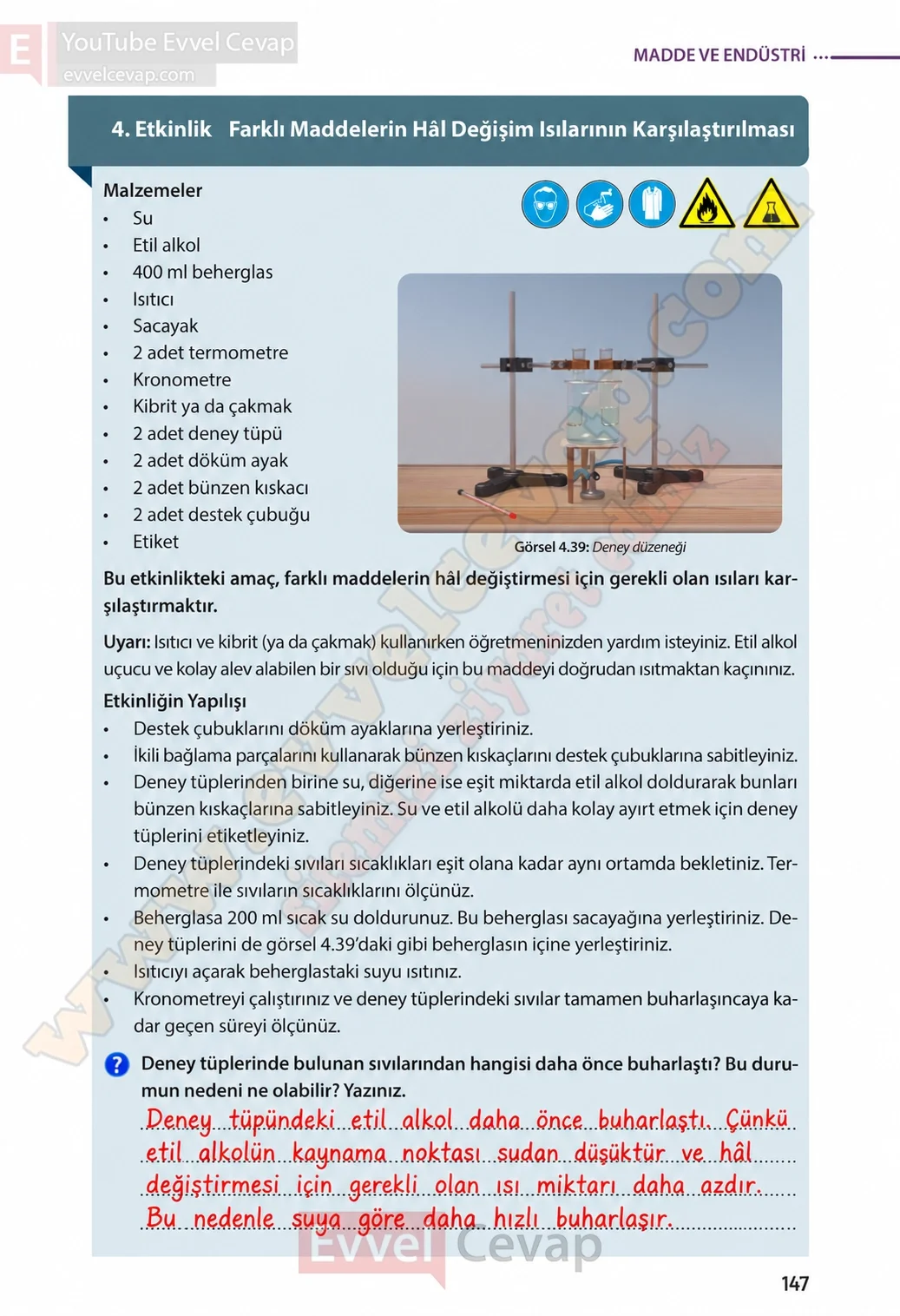 8-sinif-fen-bilimleri-ders-kitabi-sayfa-147-cevaplari-meb-yayinlari-2026-2027