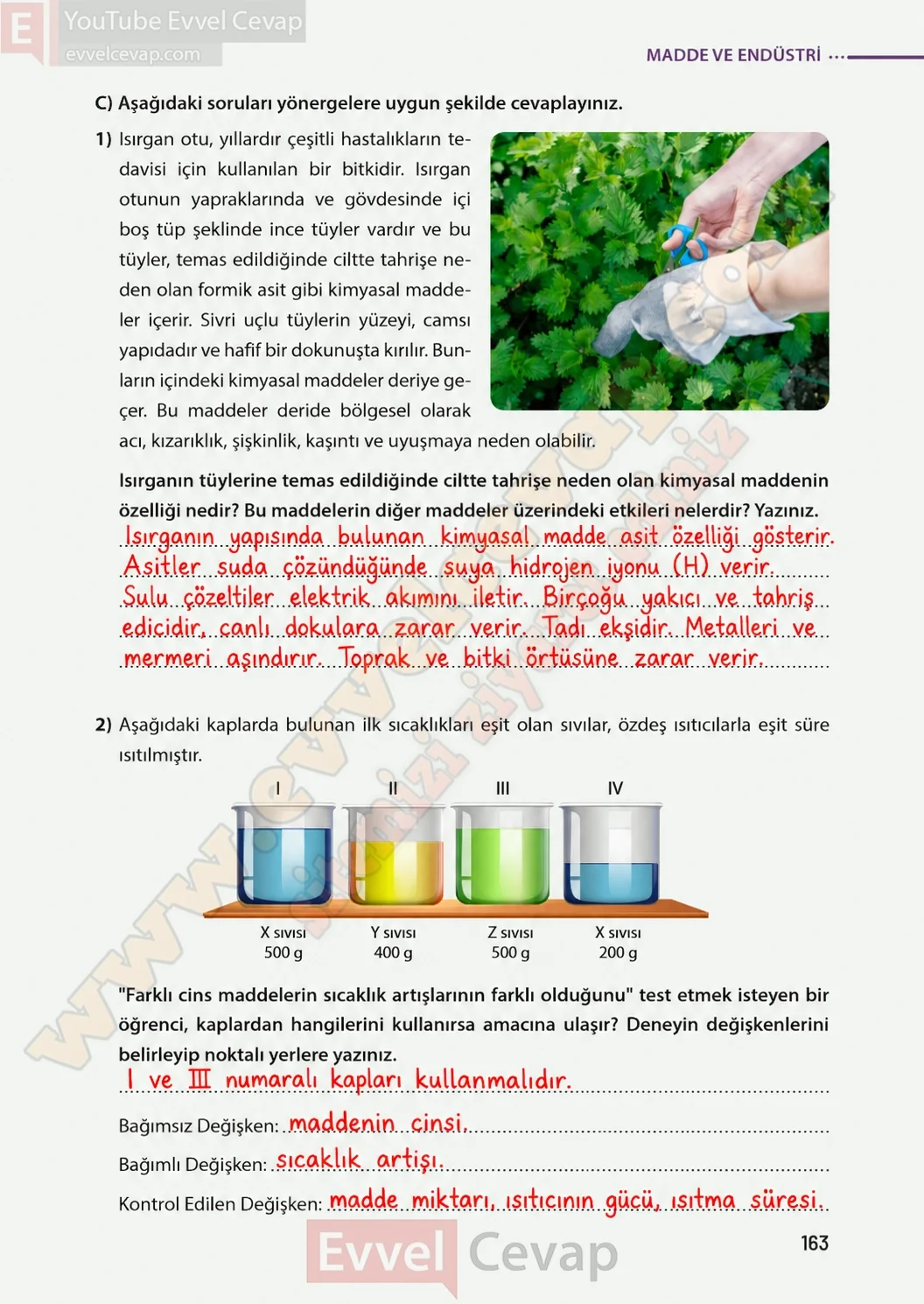 8-sinif-fen-bilimleri-ders-kitabi-sayfa-163-cevaplari-meb-yayinlari-2026-2027