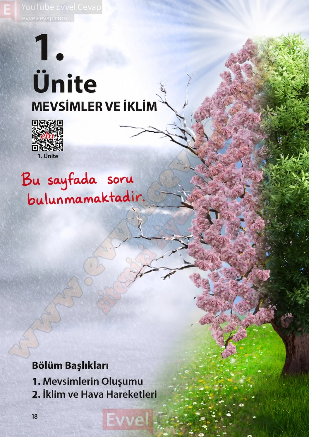 8-sinif-fen-bilimleri-ders-kitabi-sayfa-18-cevaplari-meb-yayinlari-2026-2027
