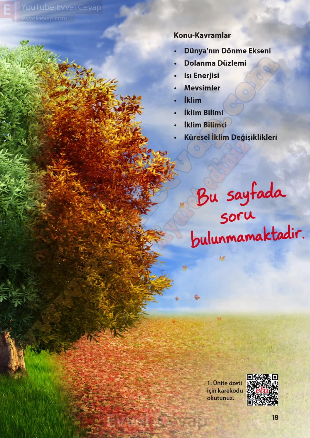 8-sinif-fen-bilimleri-ders-kitabi-sayfa-19-cevaplari-meb-yayinlari-2026-2027
