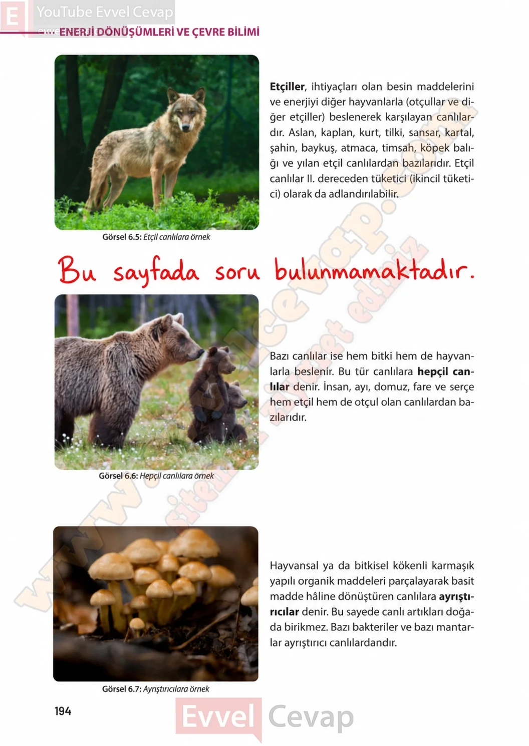 8-sinif-fen-bilimleri-ders-kitabi-sayfa-194-cevaplari-meb-yayinlari-2026-2027