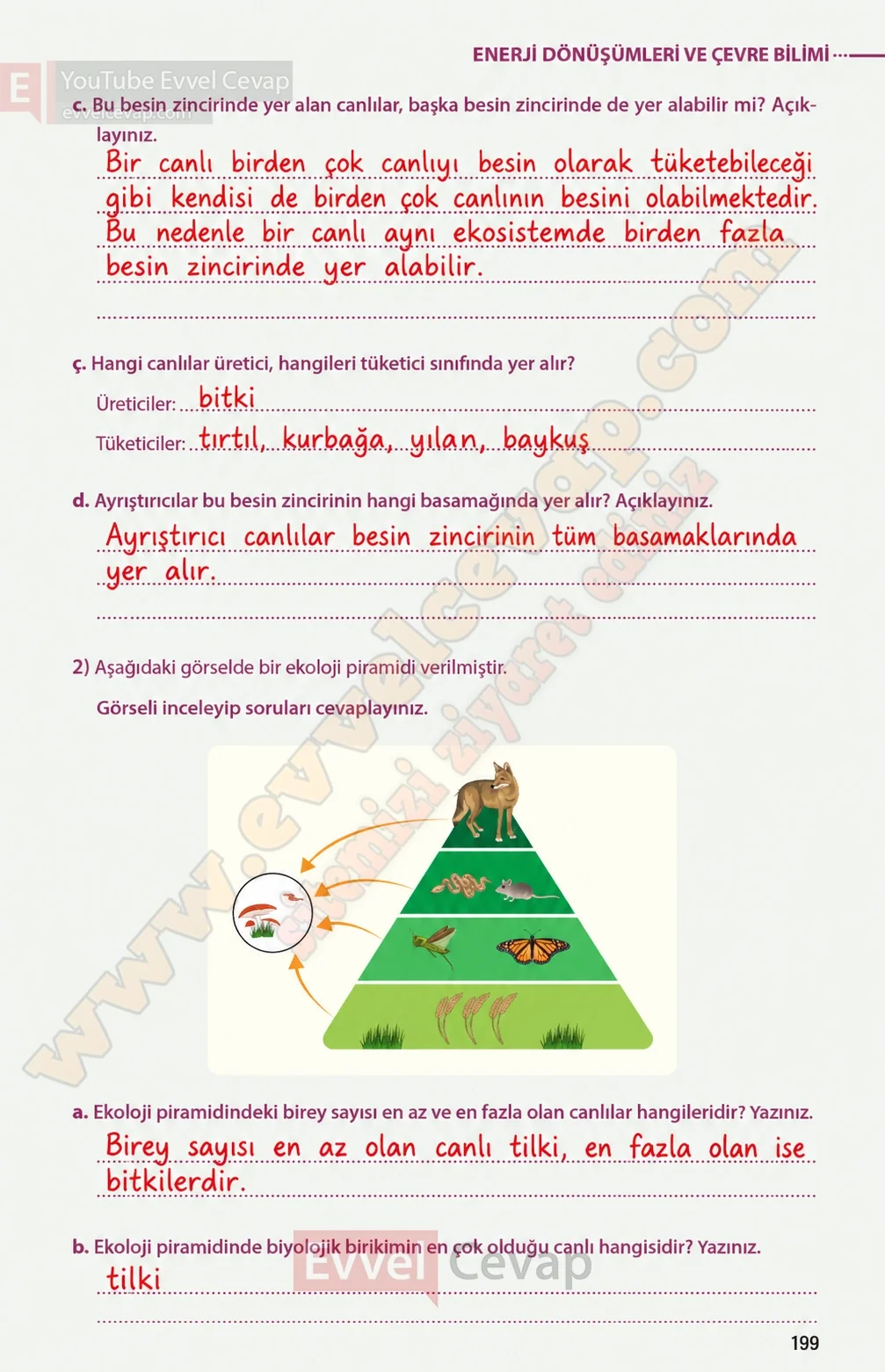 8-sinif-fen-bilimleri-ders-kitabi-sayfa-199-cevaplari-meb-yayinlari-2026-2027