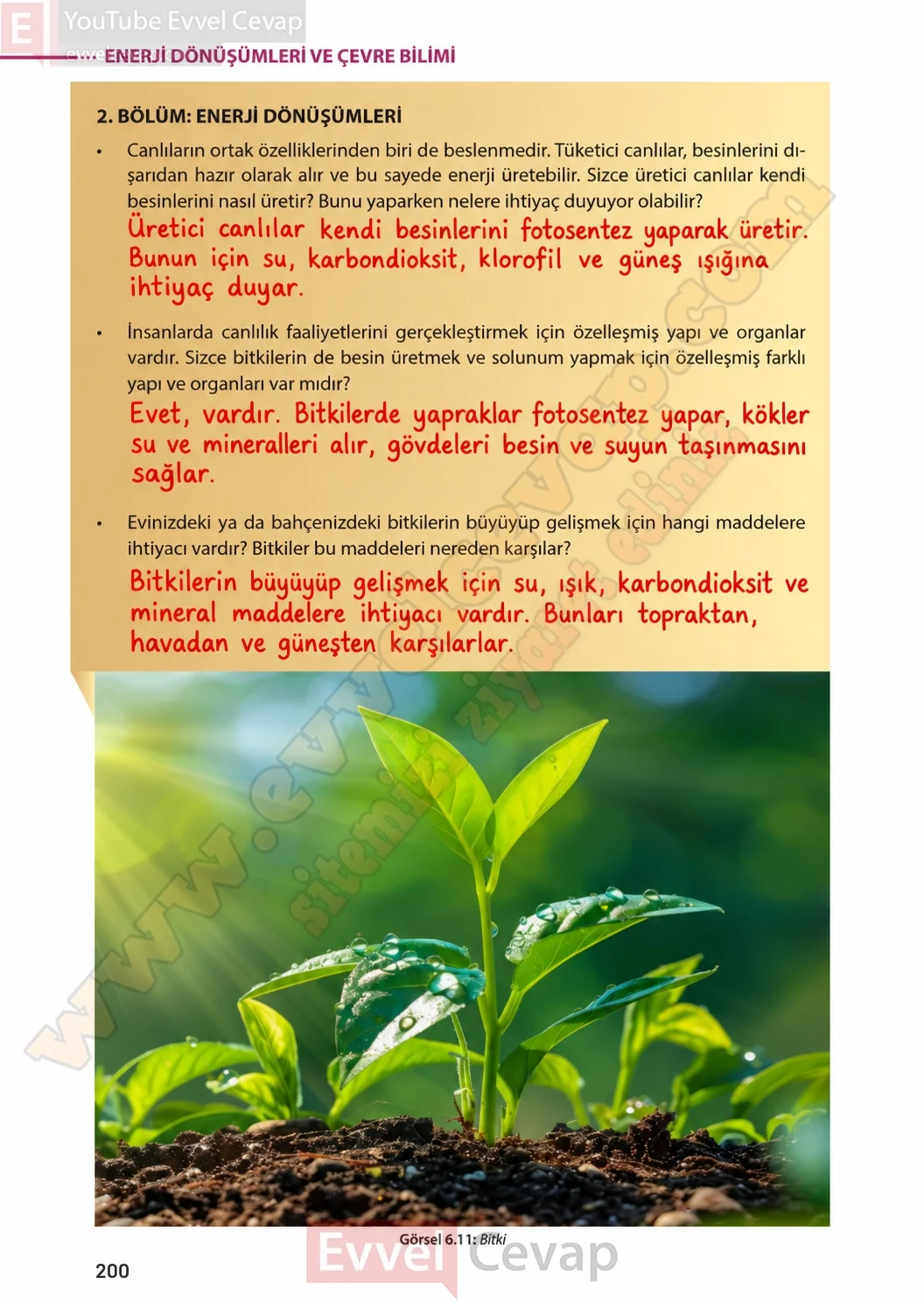 8-sinif-fen-bilimleri-ders-kitabi-sayfa-200-cevaplari-meb-yayinlari-2026-2027