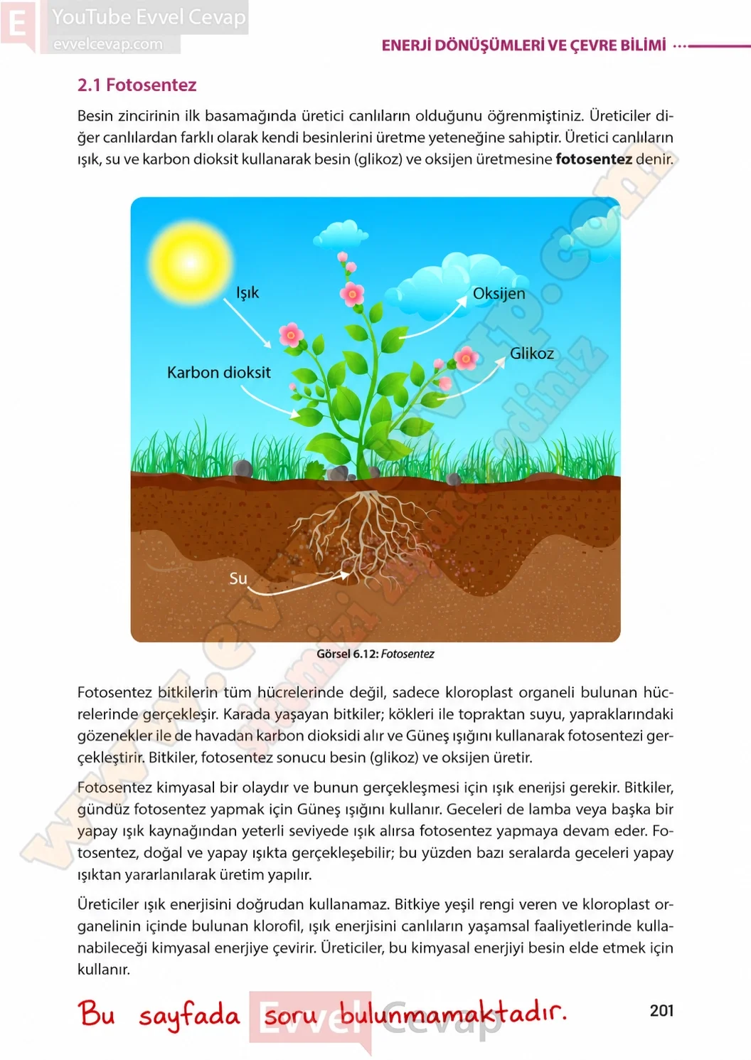 8-sinif-fen-bilimleri-ders-kitabi-sayfa-201-cevaplari-meb-yayinlari-2026-2027