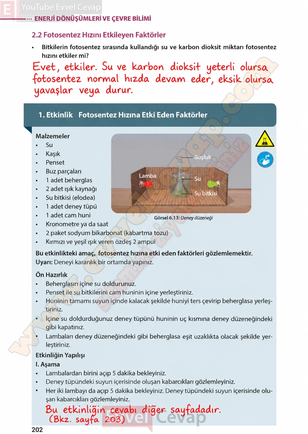 8-sinif-fen-bilimleri-ders-kitabi-sayfa-202-cevaplari-meb-yayinlari-2026-2027
