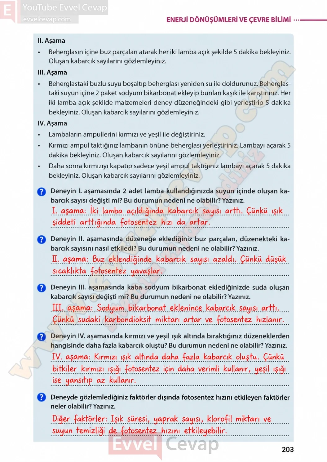 8-sinif-fen-bilimleri-ders-kitabi-sayfa-203-cevaplari-meb-yayinlari-2026-2027