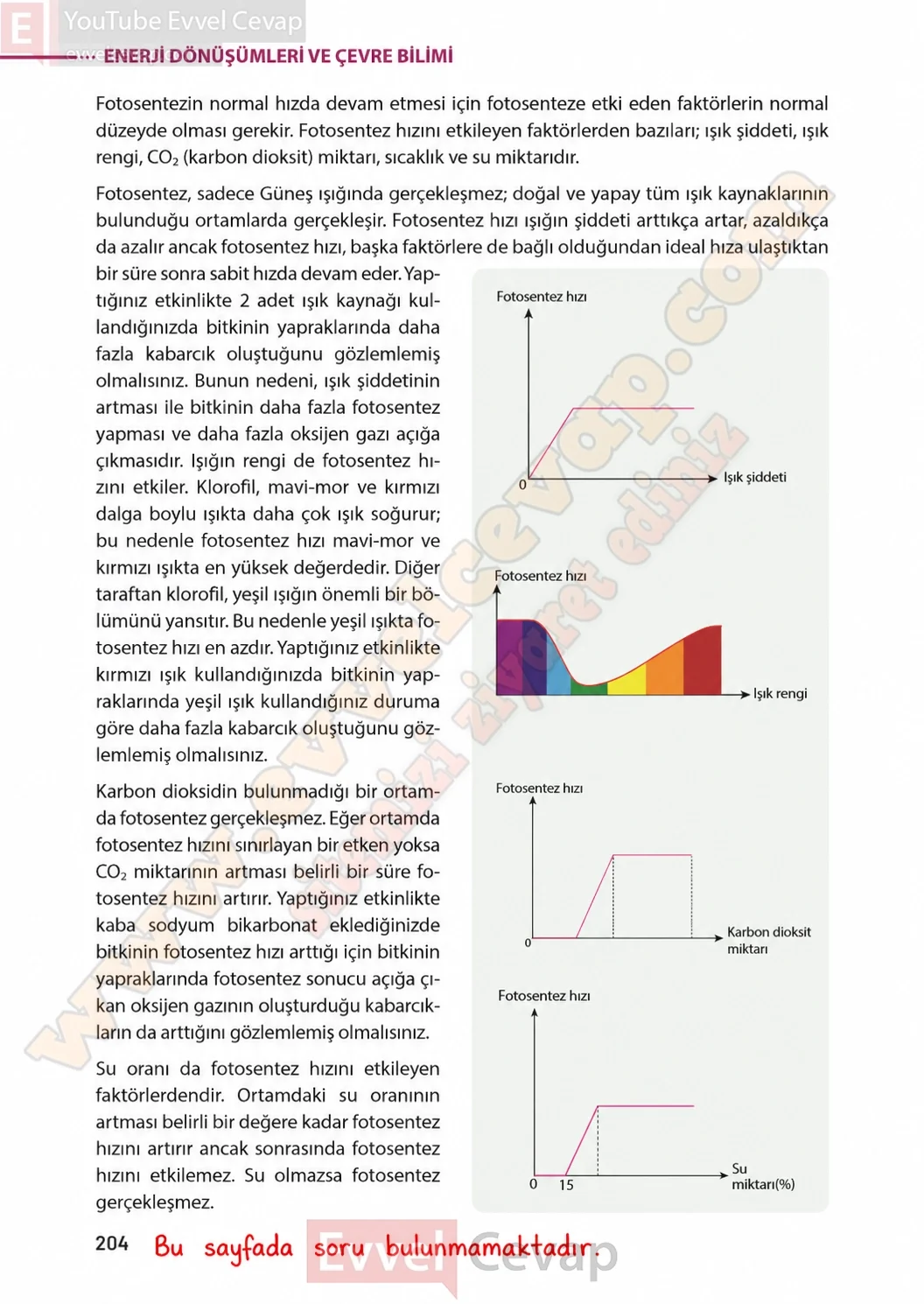 8-sinif-fen-bilimleri-ders-kitabi-sayfa-204-cevaplari-meb-yayinlari-2026-2027