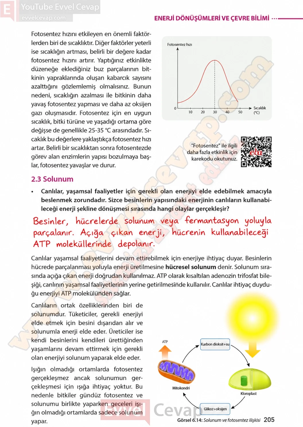 8-sinif-fen-bilimleri-ders-kitabi-sayfa-205-cevaplari-meb-yayinlari-2026-2027