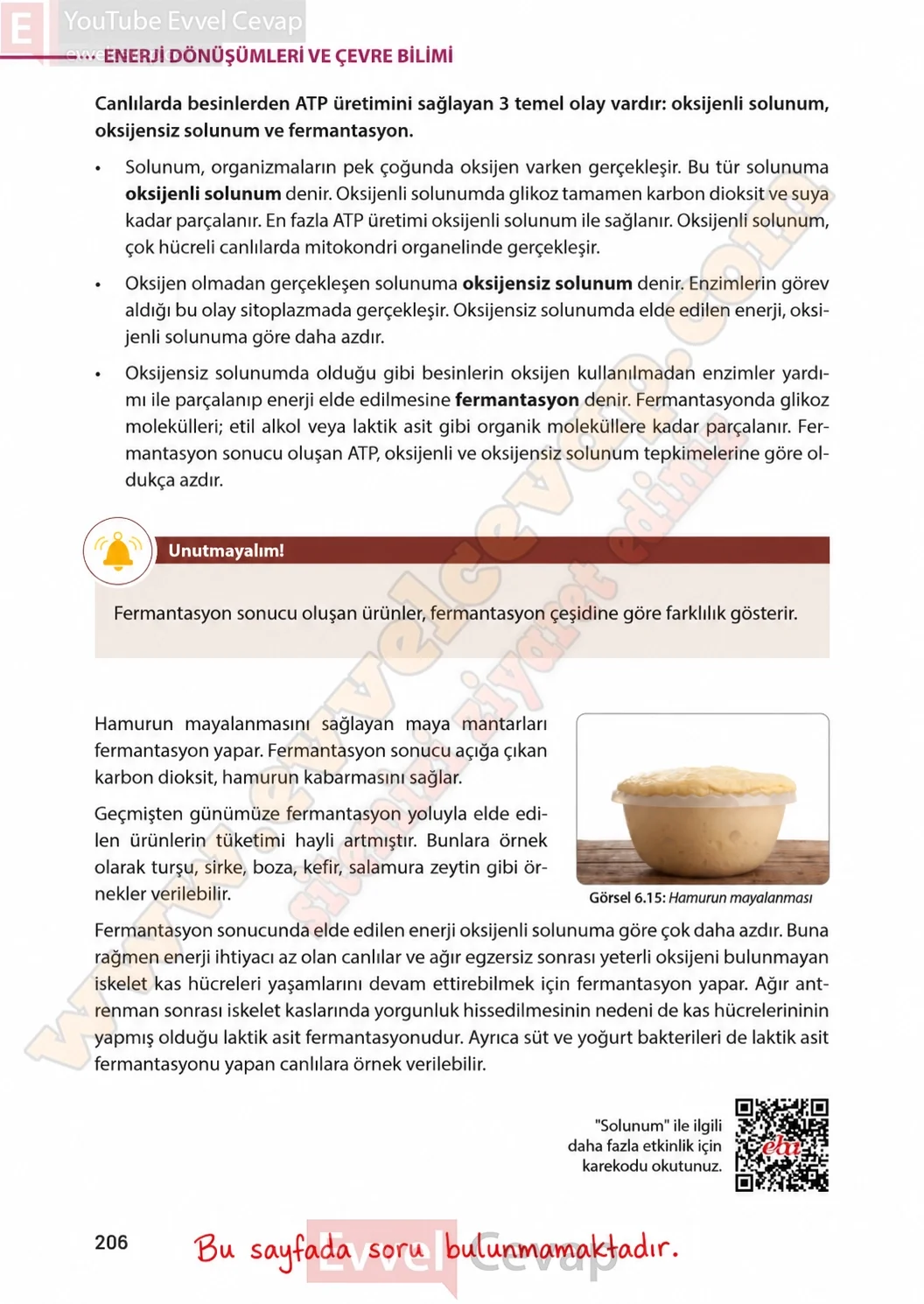 8-sinif-fen-bilimleri-ders-kitabi-sayfa-206-cevaplari-meb-yayinlari-2026-2027