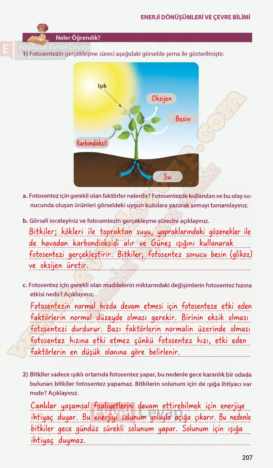 8-sinif-fen-bilimleri-ders-kitabi-sayfa-207-cevaplari-meb-yayinlari-2026-2027