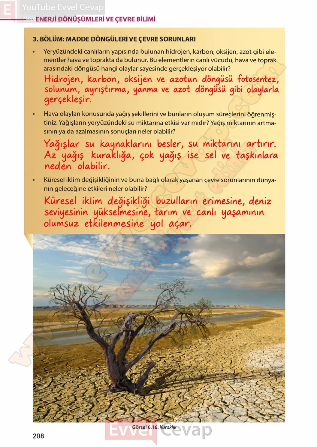 8-sinif-fen-bilimleri-ders-kitabi-sayfa-208-cevaplari-meb-yayinlari-2026-2027