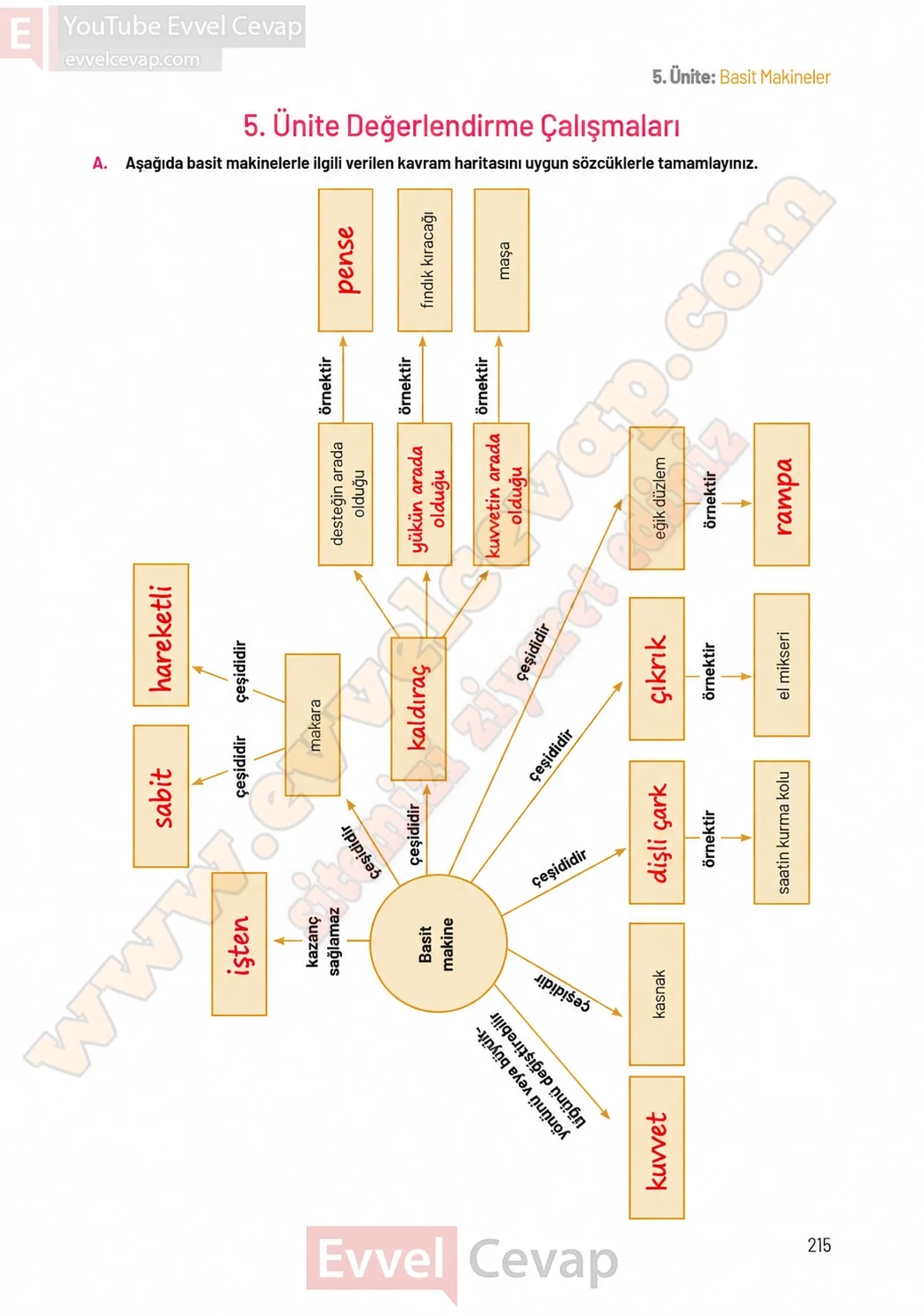 8-sinif-fen-bilimleri-ders-kitabi-sayfa-215-cevaplari-hecce-yayinlari-2026-2027