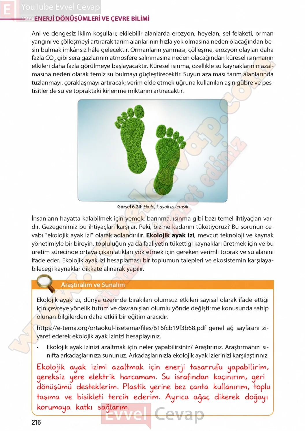 8-sinif-fen-bilimleri-ders-kitabi-sayfa-216-cevaplari-meb-yayinlari-2026-2027