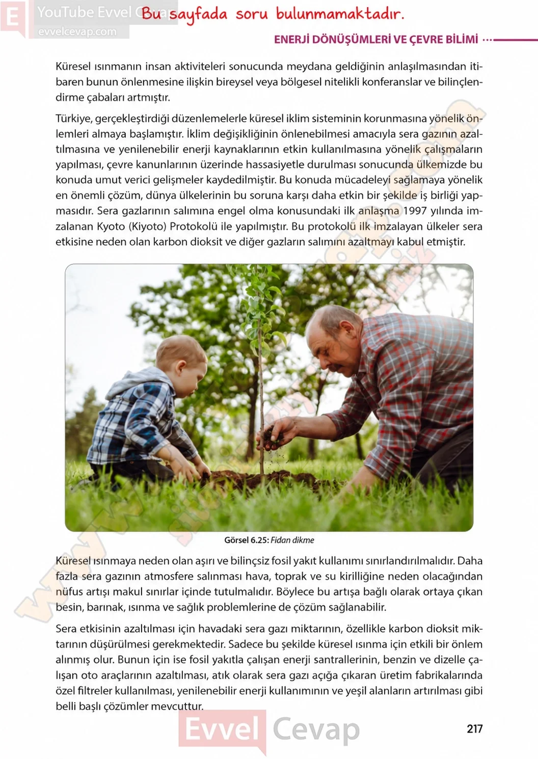8-sinif-fen-bilimleri-ders-kitabi-sayfa-217-cevaplari-meb-yayinlari-2026-2027