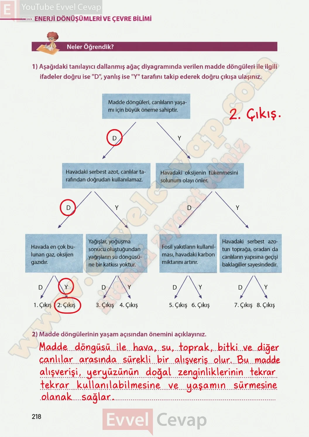 8-sinif-fen-bilimleri-ders-kitabi-sayfa-218-cevaplari-meb-yayinlari-2026-2027