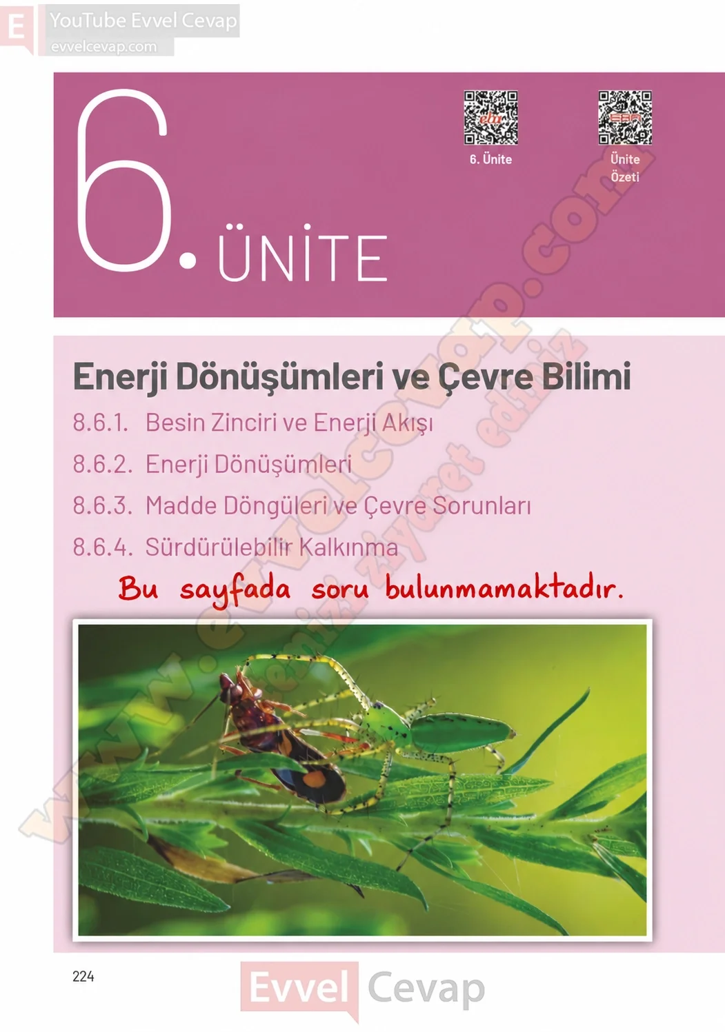 8-sinif-fen-bilimleri-ders-kitabi-sayfa-224-cevaplari-hecce-yayinlari-2026-2027