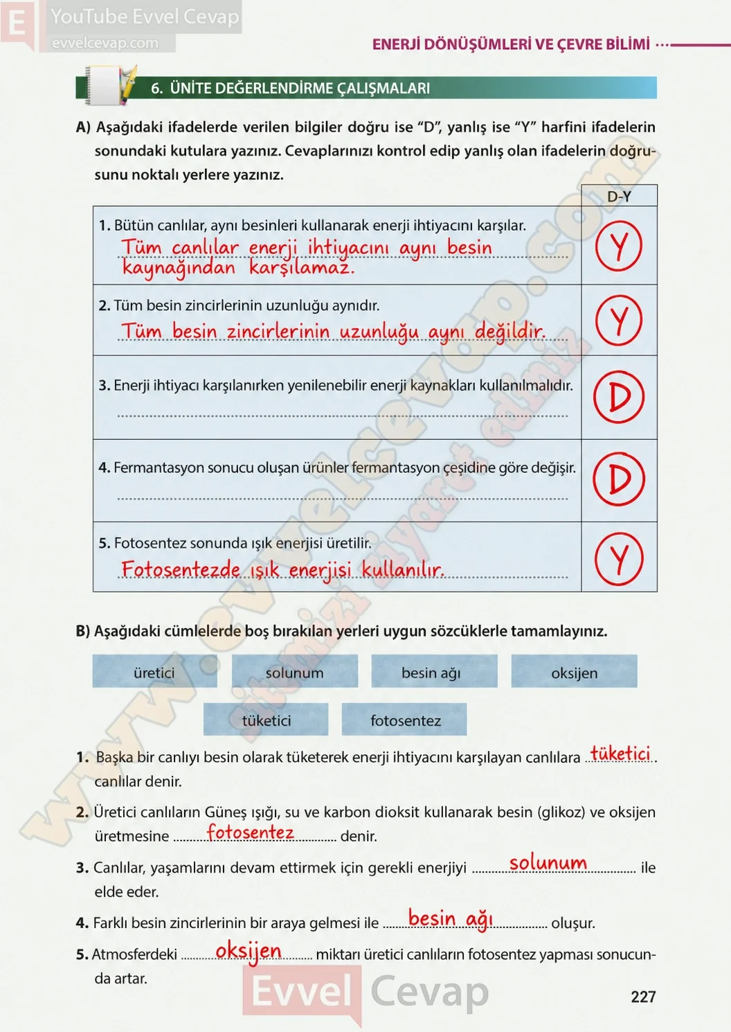 8-sinif-fen-bilimleri-ders-kitabi-sayfa-227-cevaplari-meb-yayinlari-2026-2027