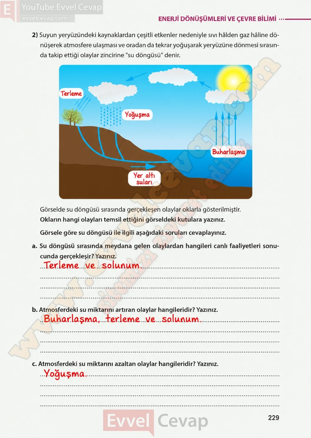 8-sinif-fen-bilimleri-ders-kitabi-sayfa-229-cevaplari-meb-yayinlari-2026-2027