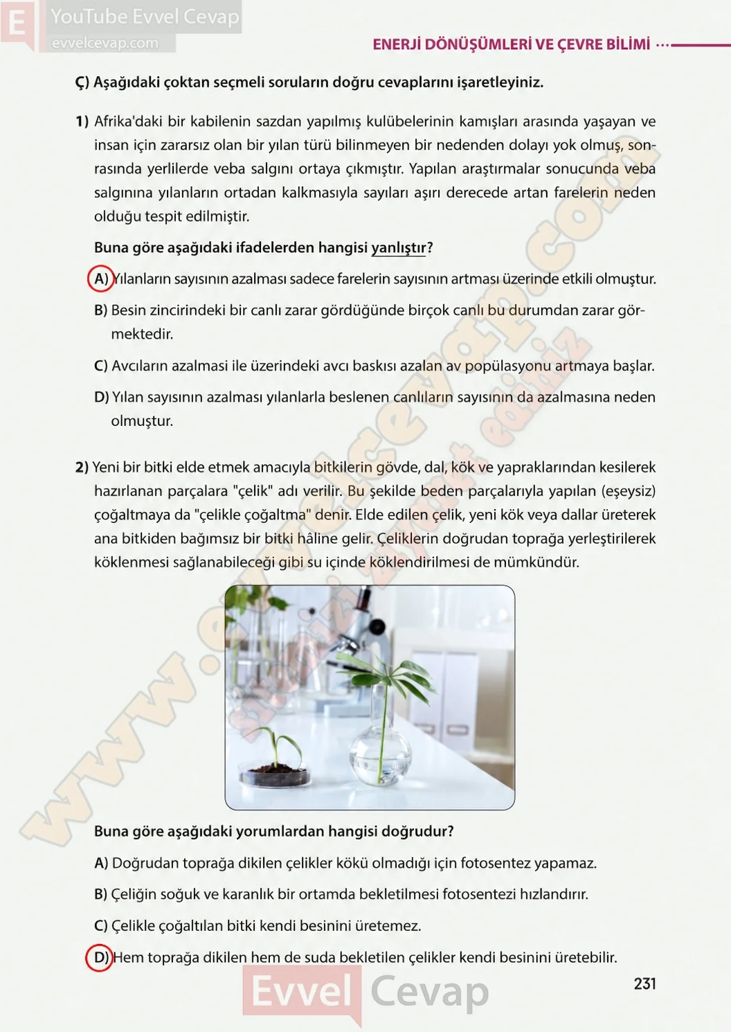 8-sinif-fen-bilimleri-ders-kitabi-sayfa-231-cevaplari-meb-yayinlari-2026-2027