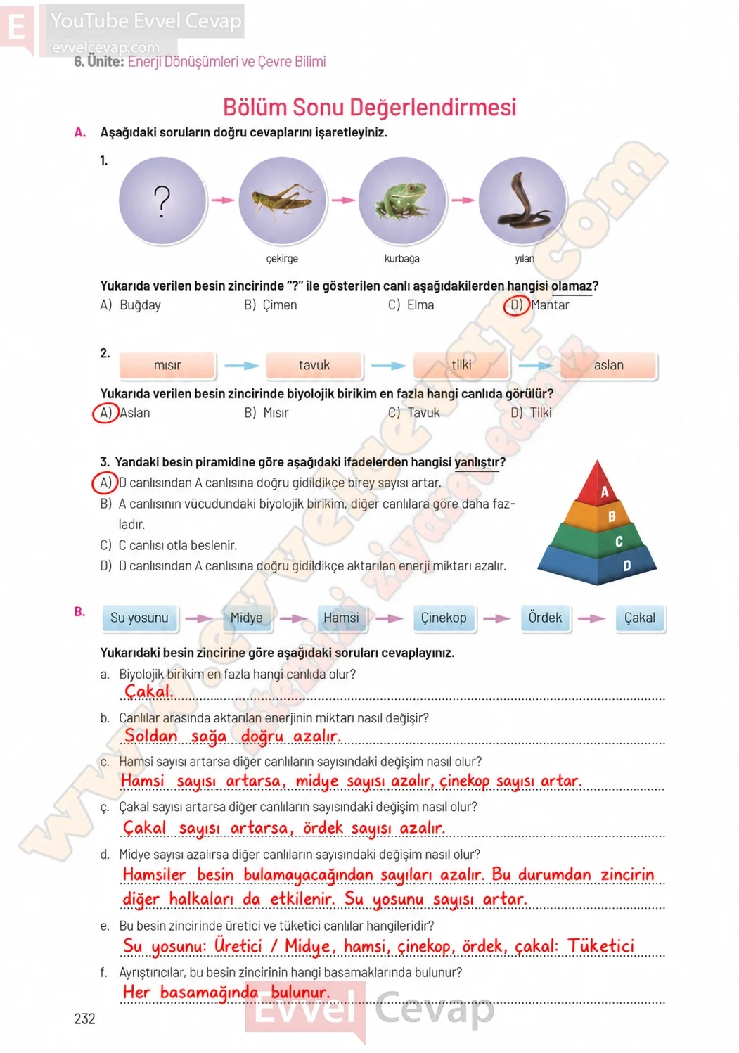 8-sinif-fen-bilimleri-ders-kitabi-sayfa-232-cevaplari-hecce-yayinlari-2026-2027