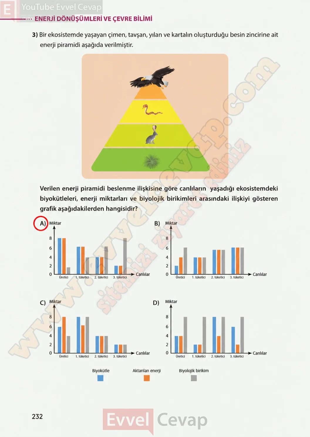 8-sinif-fen-bilimleri-ders-kitabi-sayfa-232-cevaplari-meb-yayinlari-2026-2027