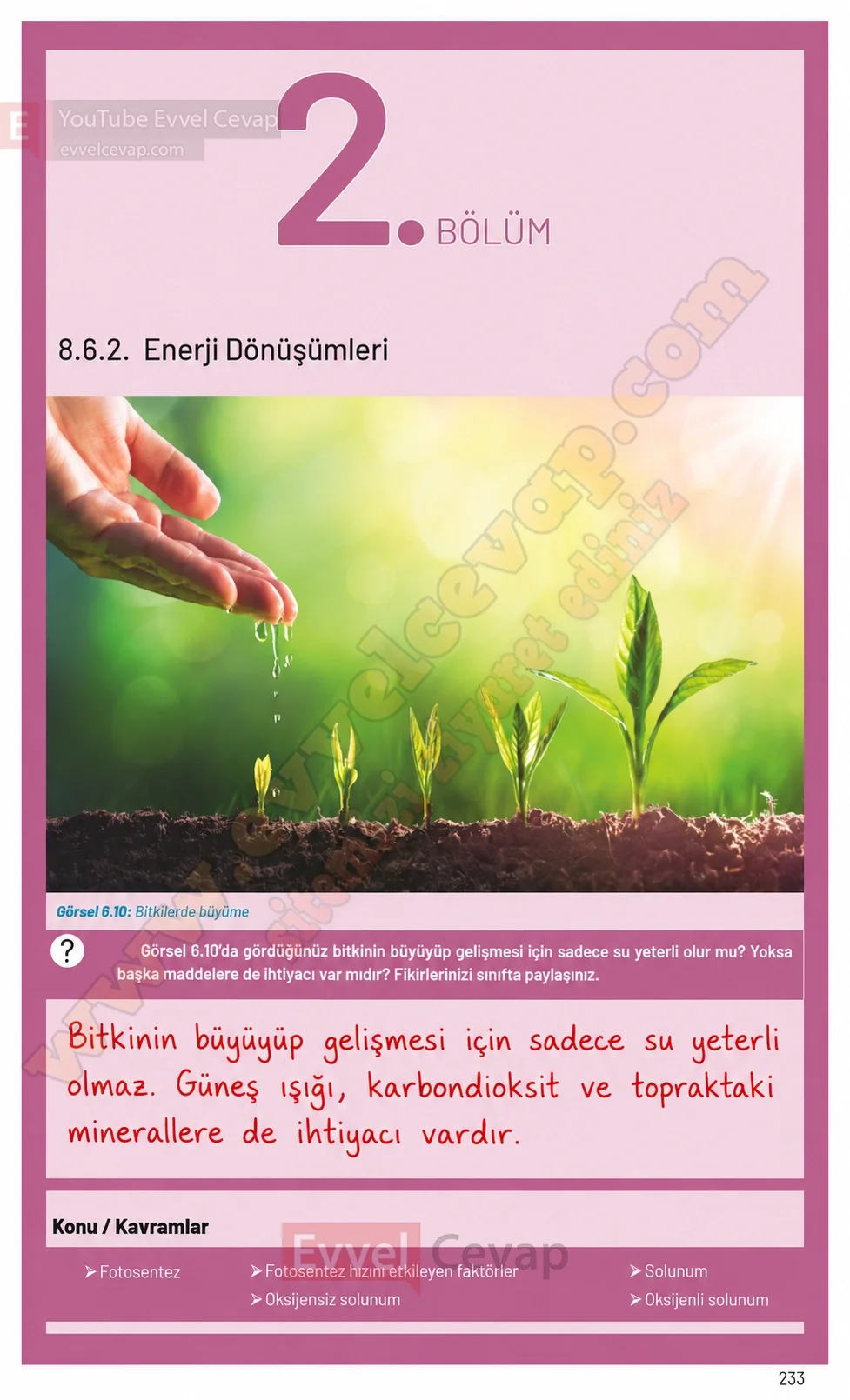 8-sinif-fen-bilimleri-ders-kitabi-sayfa-233-cevaplari-hecce-yayinlari-2026-2027