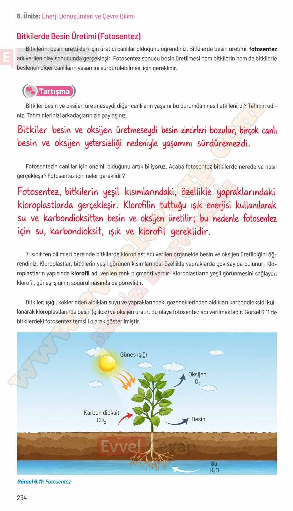 8-sinif-fen-bilimleri-ders-kitabi-sayfa-234-cevaplari-hecce-yayinlari-2026-2027
