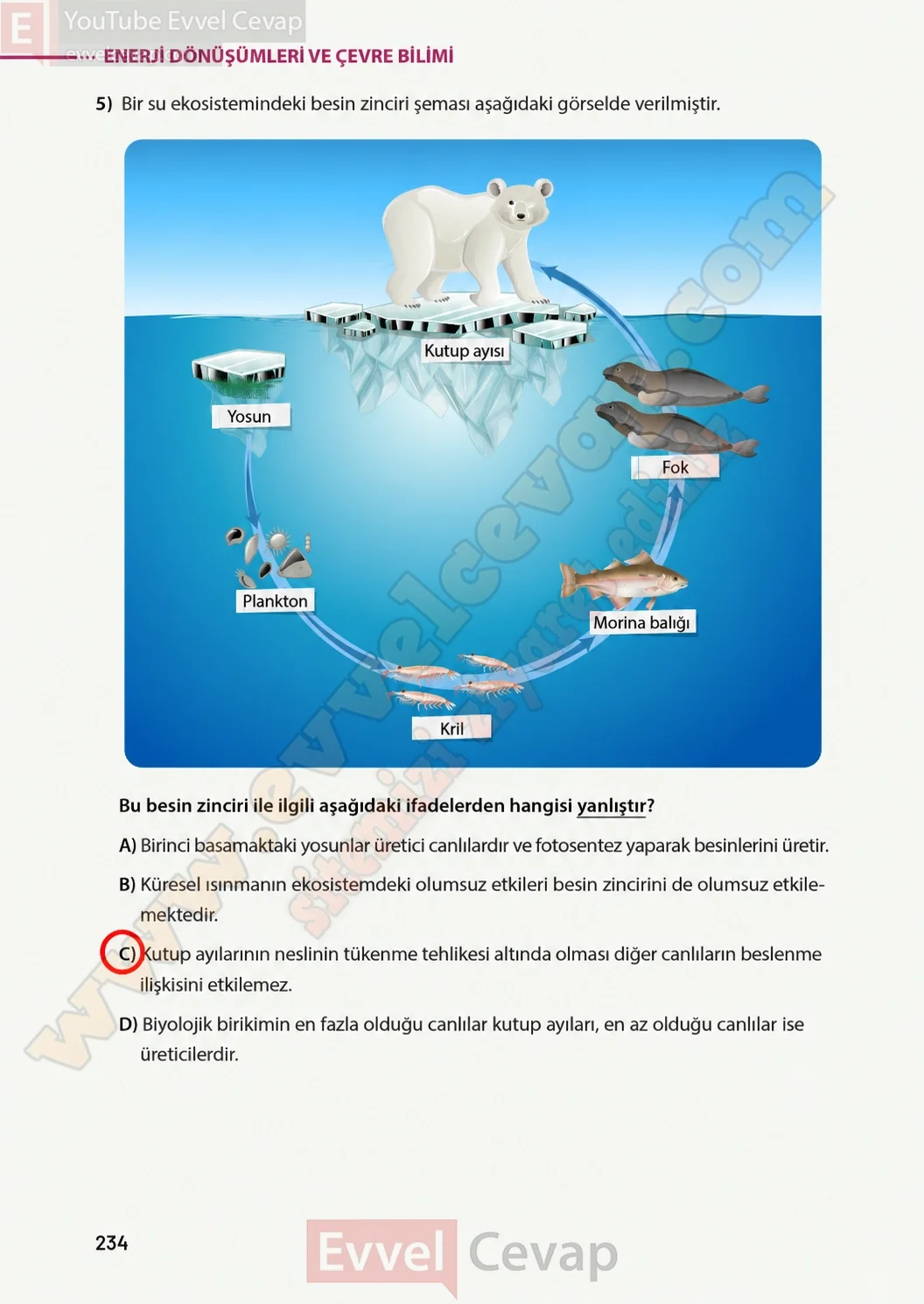 8-sinif-fen-bilimleri-ders-kitabi-sayfa-234-cevaplari-meb-yayinlari-2026-2027