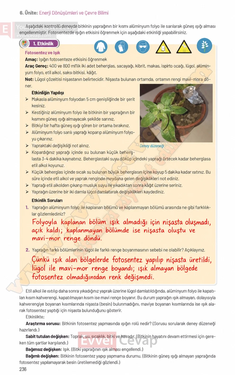 8-sinif-fen-bilimleri-ders-kitabi-sayfa-236-cevaplari-hecce-yayinlari-2026-2027