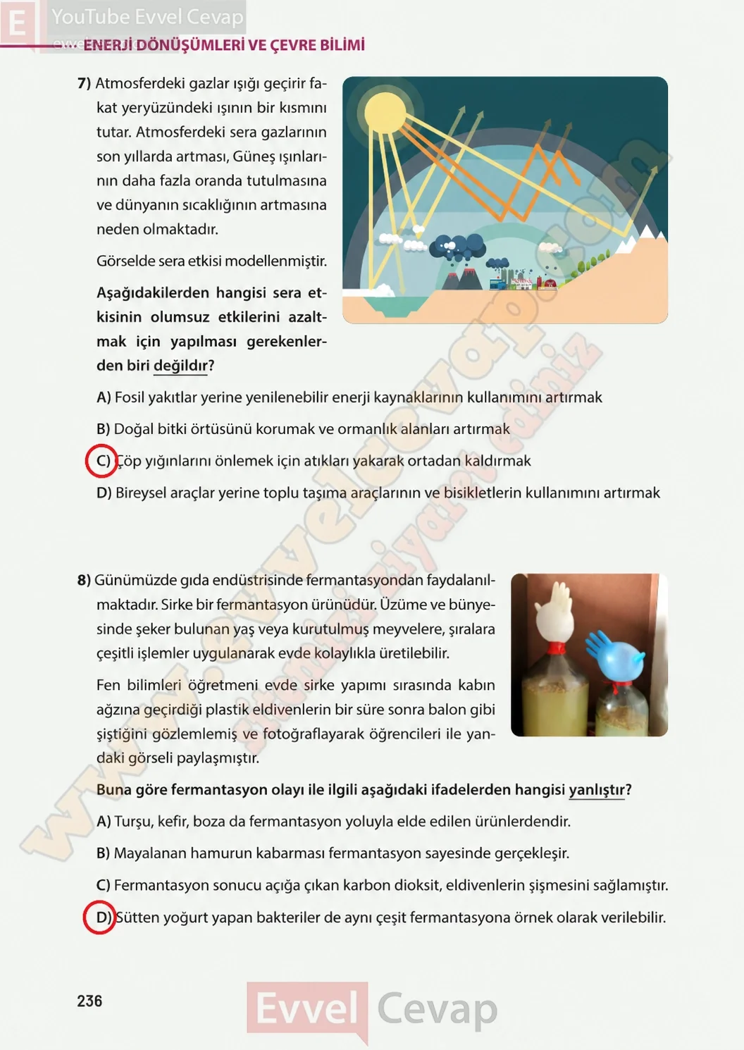 8-sinif-fen-bilimleri-ders-kitabi-sayfa-236-cevaplari-meb-yayinlari-2026-2027