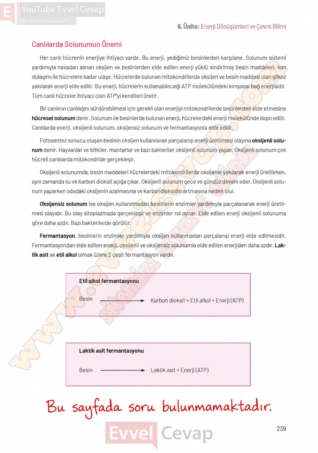 8-sinif-fen-bilimleri-ders-kitabi-sayfa-239-cevaplari-hecce-yayinlari-2026-2027
