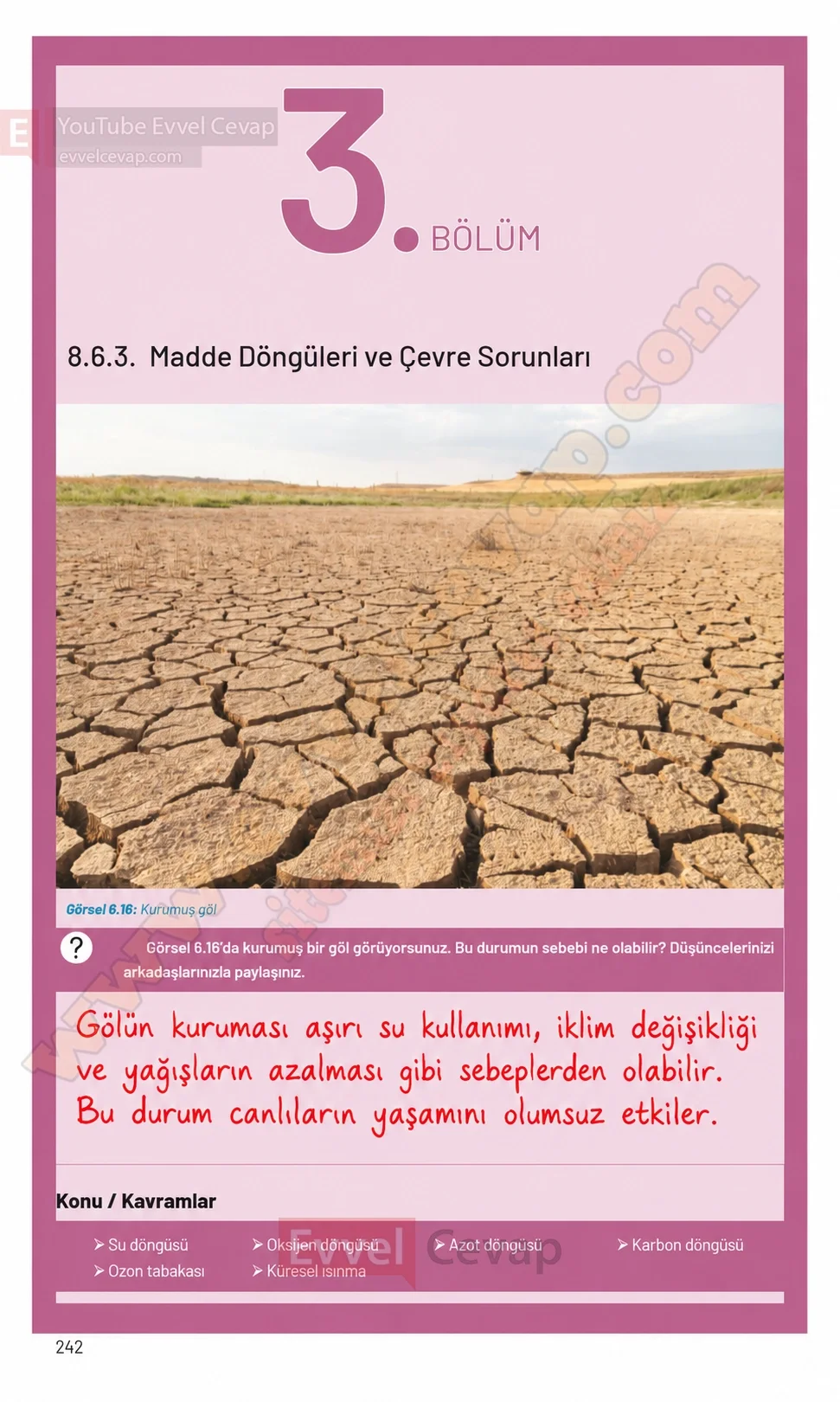8-sinif-fen-bilimleri-ders-kitabi-sayfa-242-cevaplari-hecce-yayinlari-2026-2027