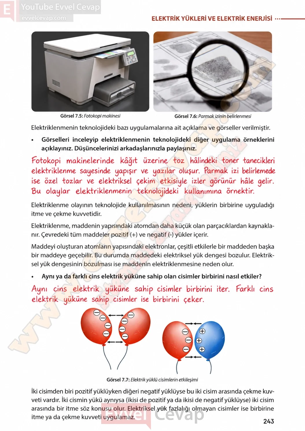 8-sinif-fen-bilimleri-ders-kitabi-sayfa-243-cevaplari-meb-yayinlari-2026-2027