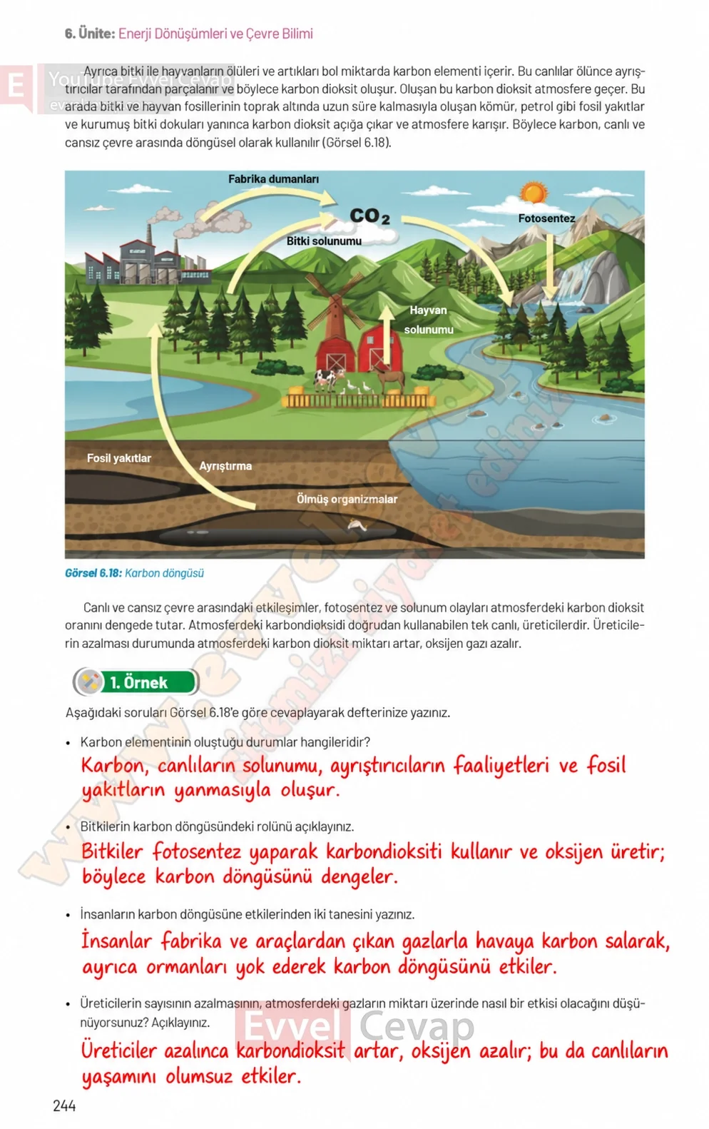 8-sinif-fen-bilimleri-ders-kitabi-sayfa-244-cevaplari-hecce-yayinlari-2026-2027