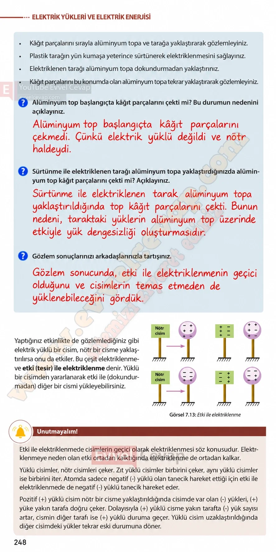8-sinif-fen-bilimleri-ders-kitabi-sayfa-248-cevaplari-meb-yayinlari-2026-2027