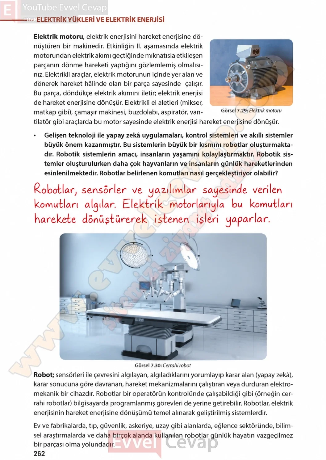 8-sinif-fen-bilimleri-ders-kitabi-sayfa-262-cevaplari-meb-yayinlari-2026-2027