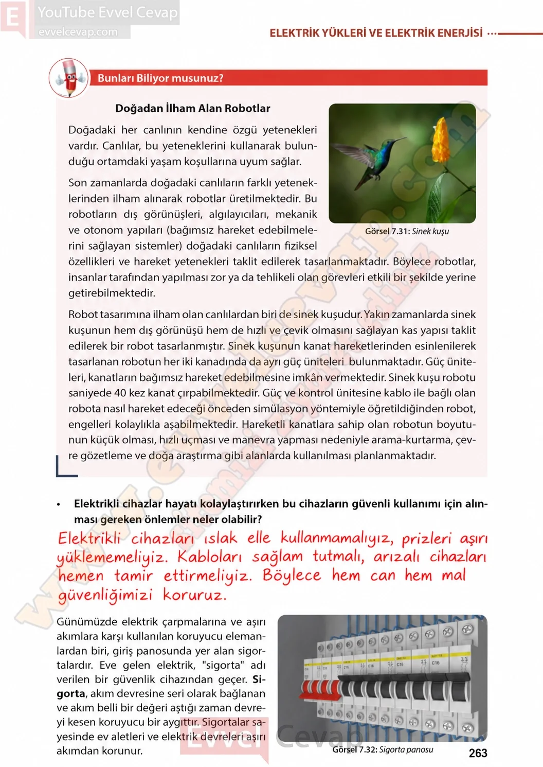 8-sinif-fen-bilimleri-ders-kitabi-sayfa-263-cevaplari-meb-yayinlari-2026-2027