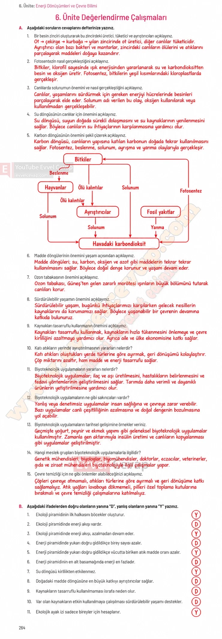 8-sinif-fen-bilimleri-ders-kitabi-sayfa-264-cevaplari-hecce-yayinlari-2026-2027