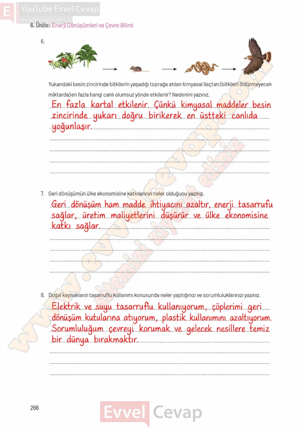 8-sinif-fen-bilimleri-ders-kitabi-sayfa-266-cevaplari-hecce-yayinlari-2026-2027