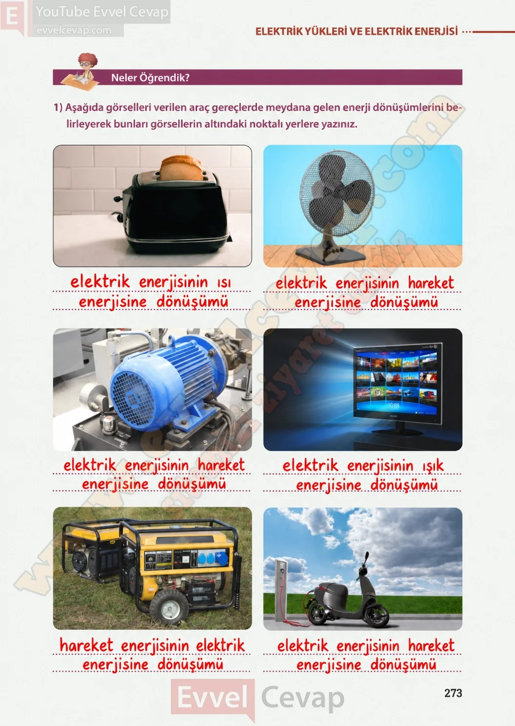 8-sinif-fen-bilimleri-ders-kitabi-sayfa-273-cevaplari-meb-yayinlari-2026-2027