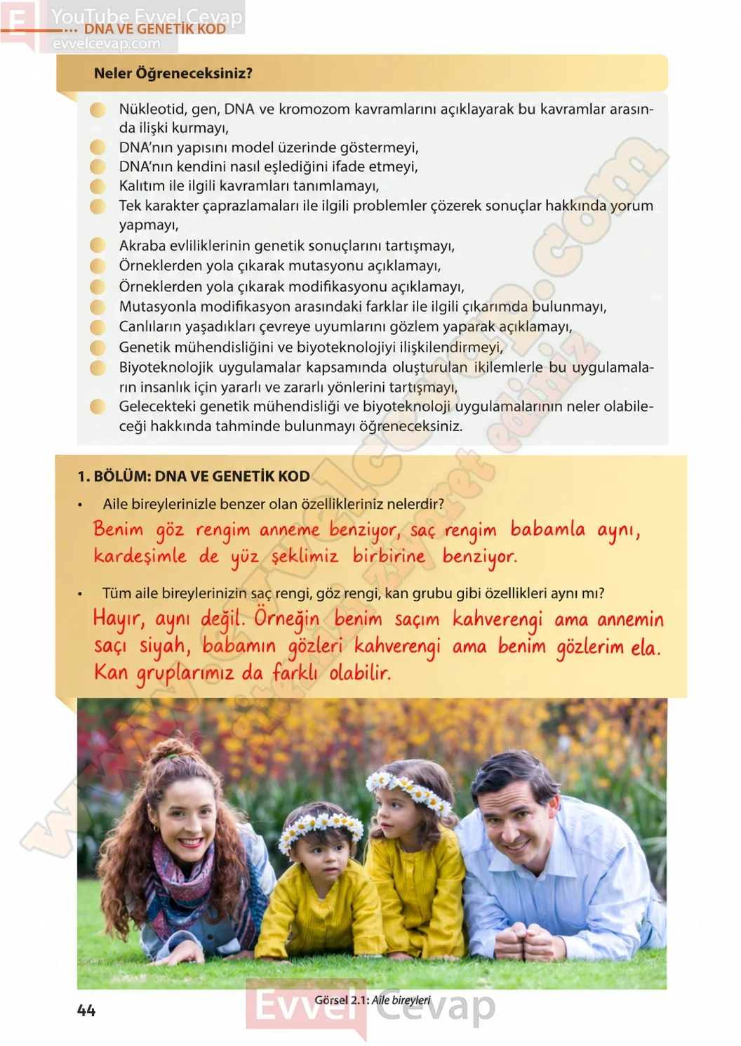 8-sinif-fen-bilimleri-ders-kitabi-sayfa-44-cevaplari-meb-yayinlari-2026-2027