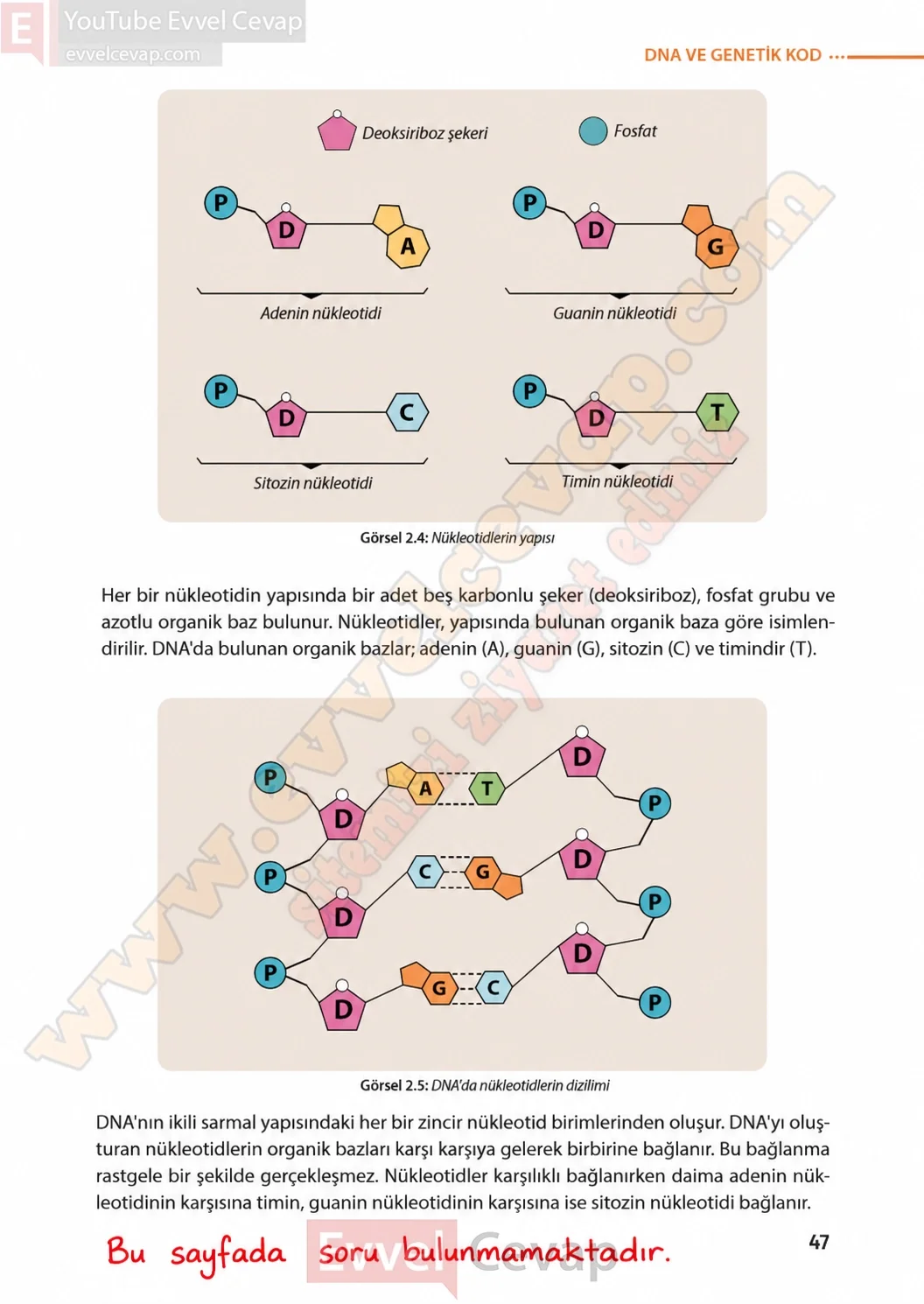 8-sinif-fen-bilimleri-ders-kitabi-sayfa-47-cevaplari-meb-yayinlari-2026-2027