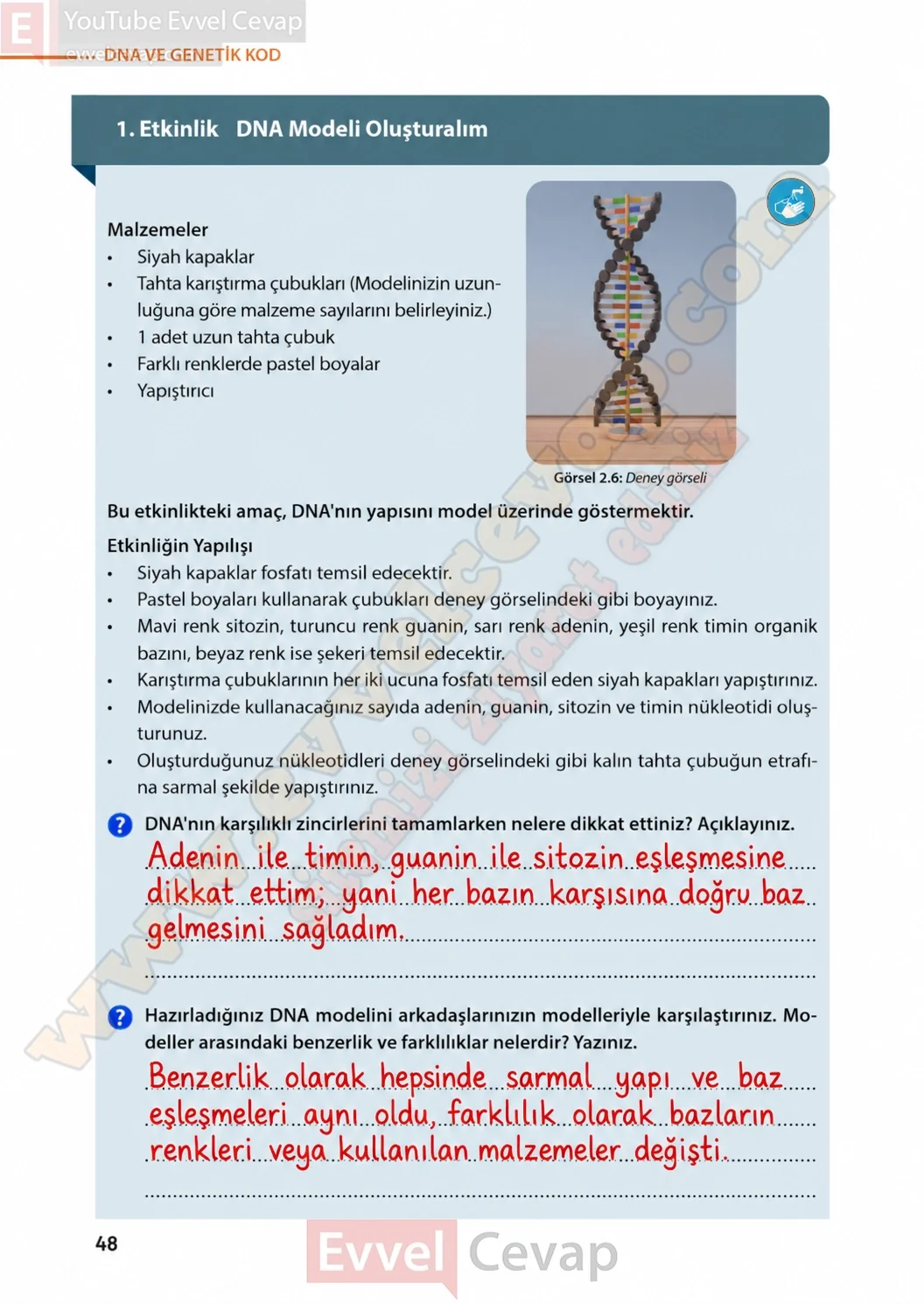 8-sinif-fen-bilimleri-ders-kitabi-sayfa-48-cevaplari-meb-yayinlari-2026-2027