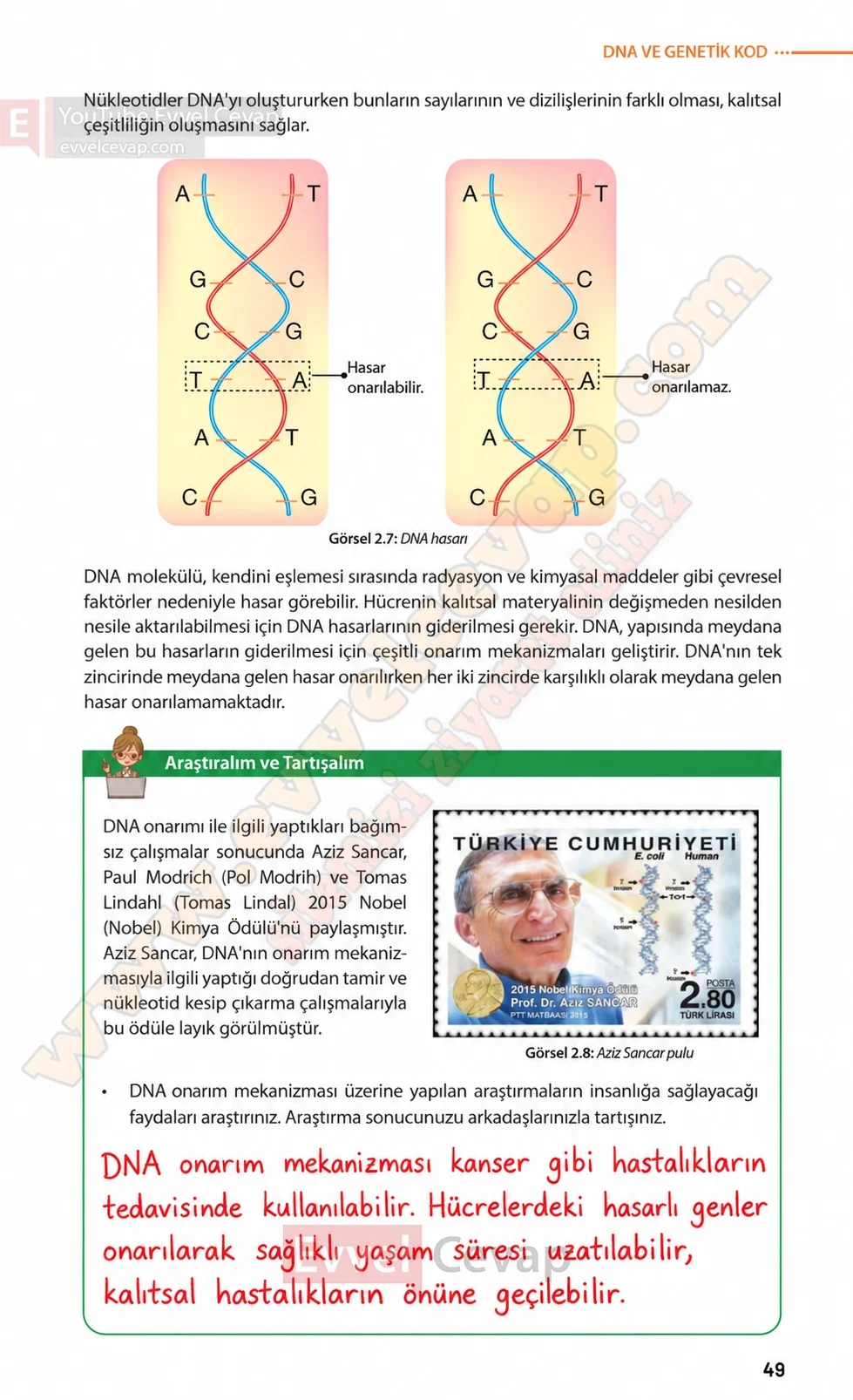 8-sinif-fen-bilimleri-ders-kitabi-sayfa-49-cevaplari-meb-yayinlari-2026-2027