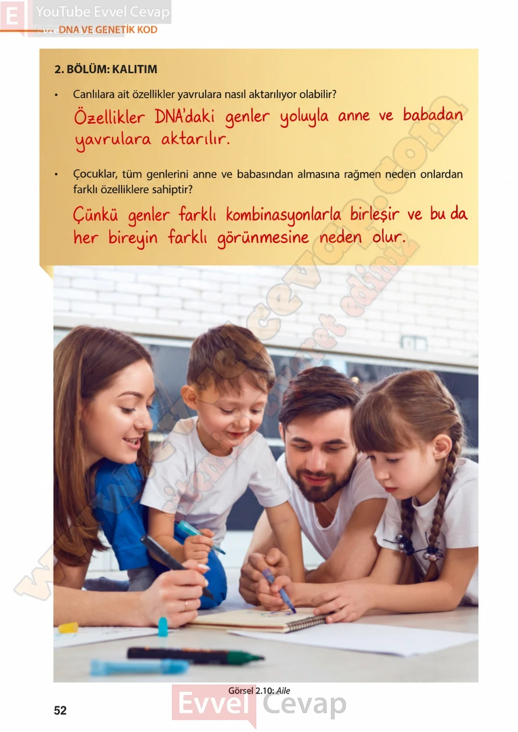 8-sinif-fen-bilimleri-ders-kitabi-sayfa-52-cevaplari-meb-yayinlari-2026-2027